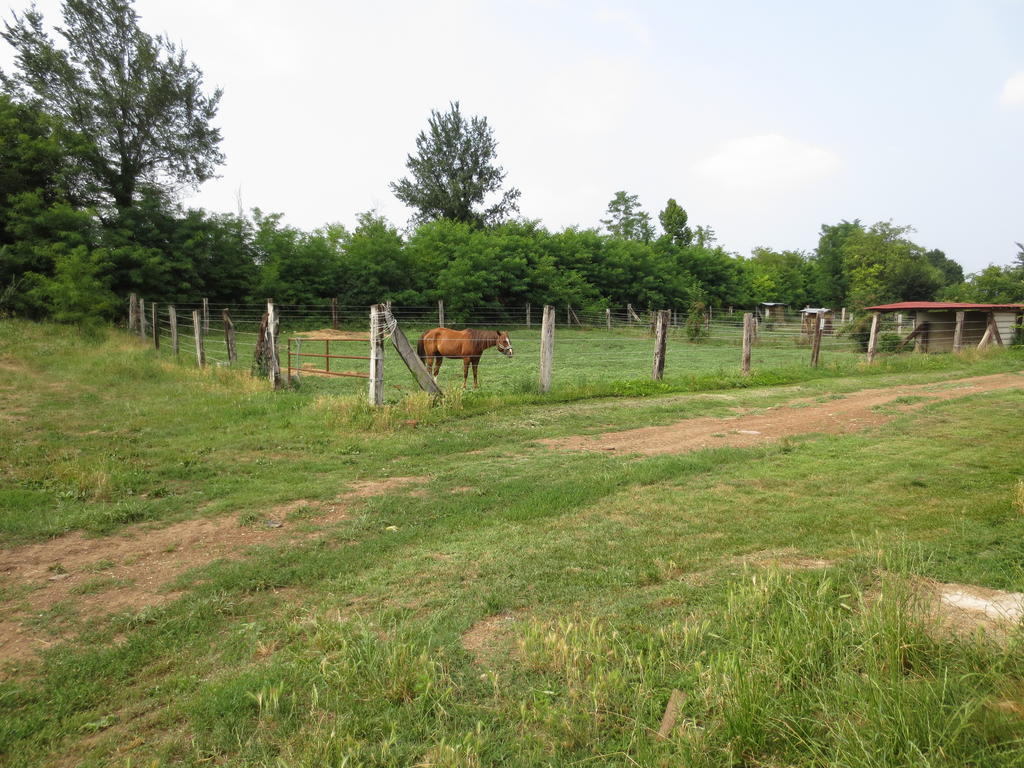 Agriturismo Parco Del Chiese Bedizzole Zewnętrze zdjęcie